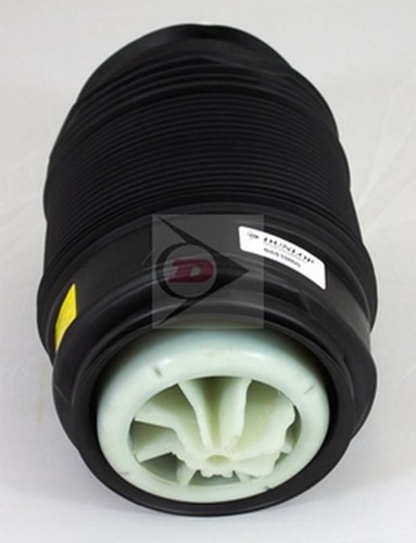 Dunlop rear left - left, air