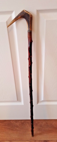 Stunning irish blackthorn deer - stunning,