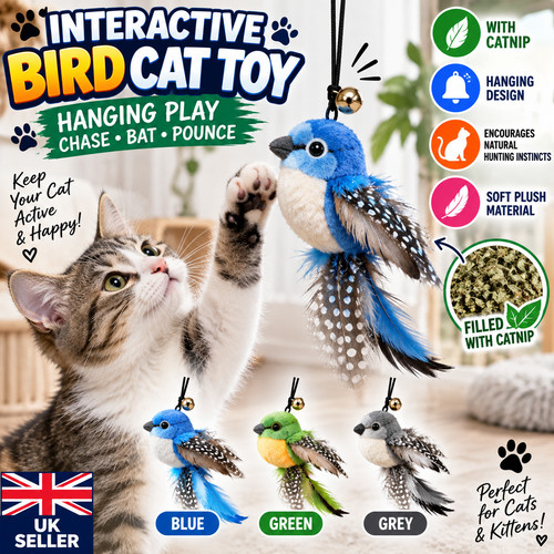 Interactive hanging bird - hanging,