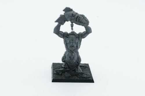 Warhammer fantasy battle skull - fantasy,