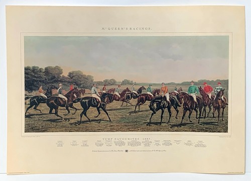 Turf favourites horse - turf,