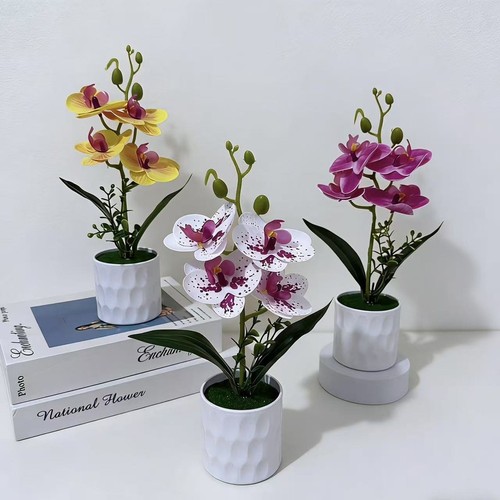 White deep pink - white,
