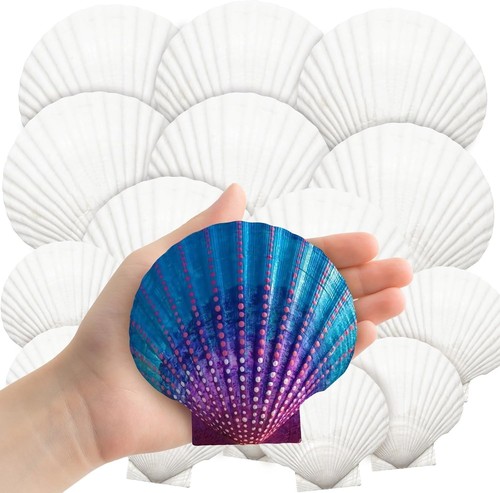 18pcs white scallop - 18pcs,