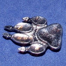 Coyote wolf dog fox paw - wolf,