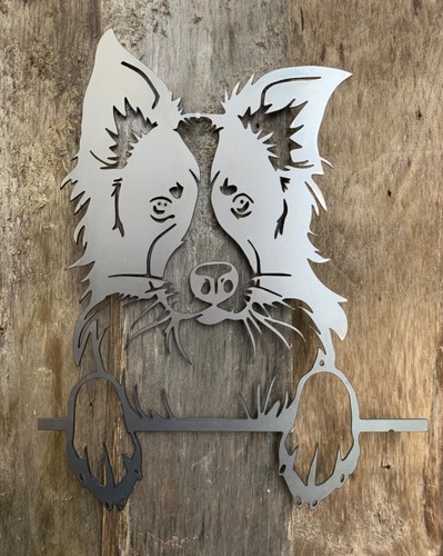 Border collie sheep - collie,
