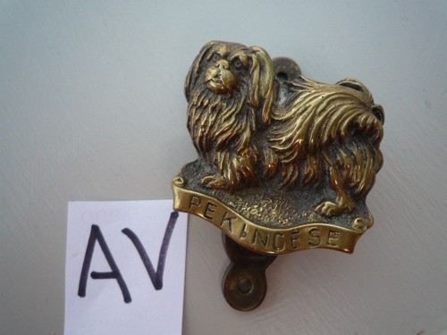 Vintage solid brass door - brass,