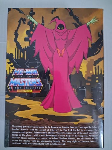 Masters the universe - the,