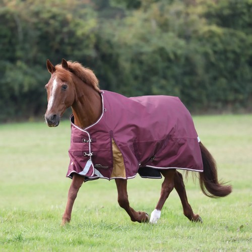 Shires highlander plus 100g - shires,