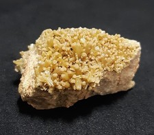 Pyromorphite Specimen (Please