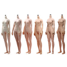 1/6 Suntan Skin Small Bust