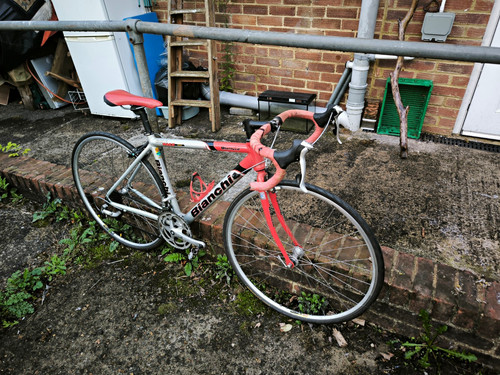 Bianchi gold race - race, 900