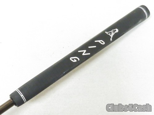 Ping 2021 anser - ping,