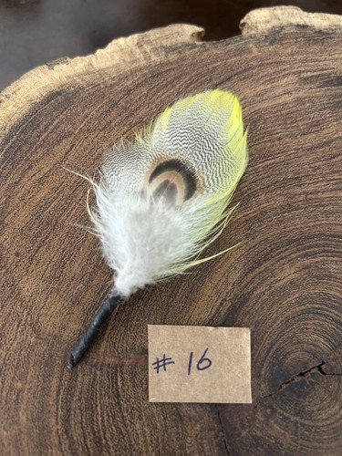 Summer fedora hat - summer, feather