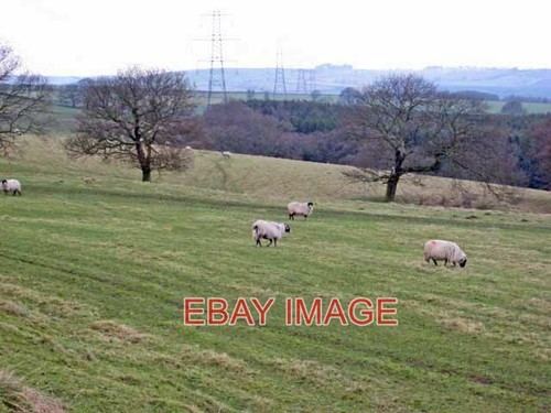 Photo pasture land above - photo,