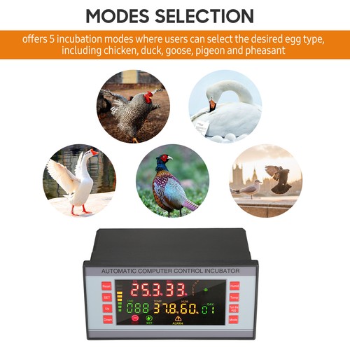 Auto egg incubator controller - egg,