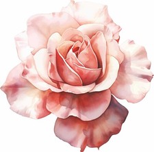 Rose Flower sticker, decal