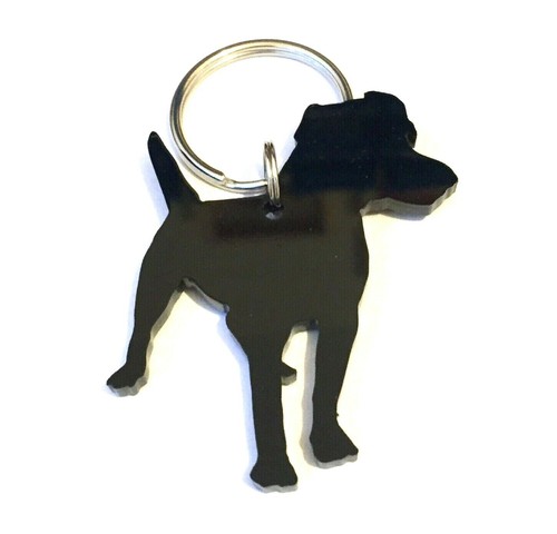 Patterdale terrier dog - patterdale,