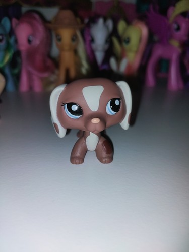 Not auth littlest pet - not,