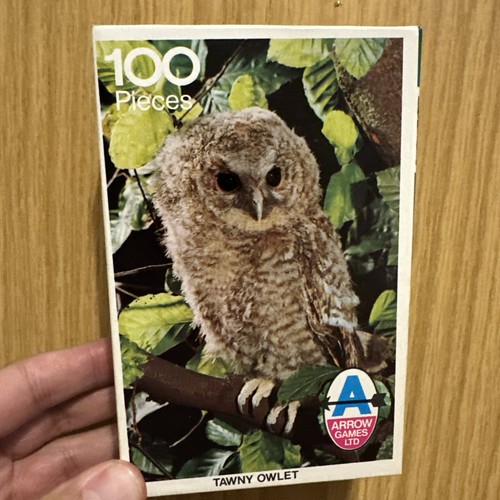 Tawny owlet 100 large - owlet.,