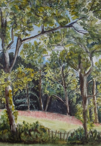 Original watercolour woodland - original, watercolour,