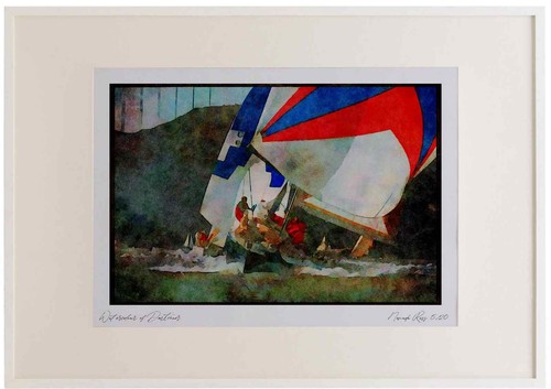 Sailing 172027 insatiable - 172027,
