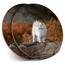 2 x Coasters - Samoyed Husky Puppy Dog Nature  #46271
