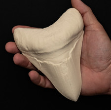 Megalodon tooth replica - megalodon, fossil
