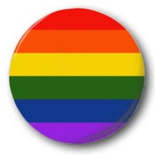 LGBT FLAGS  (Various Designs) - 1" / 25mm Button Badge - Pride Gay Lesbian Trans