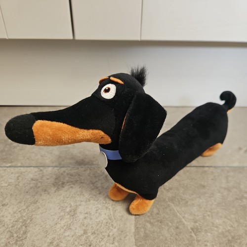 Buddy the dachshund - the, sausage