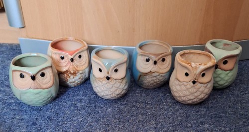 6pcs ceramic owl plant - 6pcs, pots