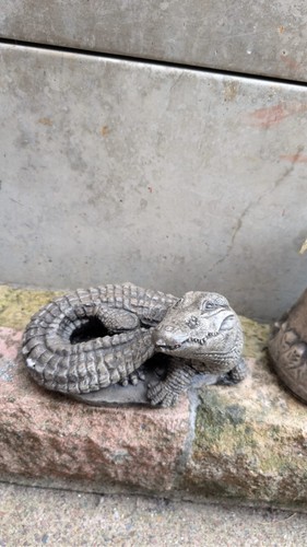 Stone crocodile garden - stone,