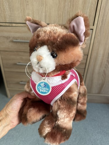 Build bear promise - a,
