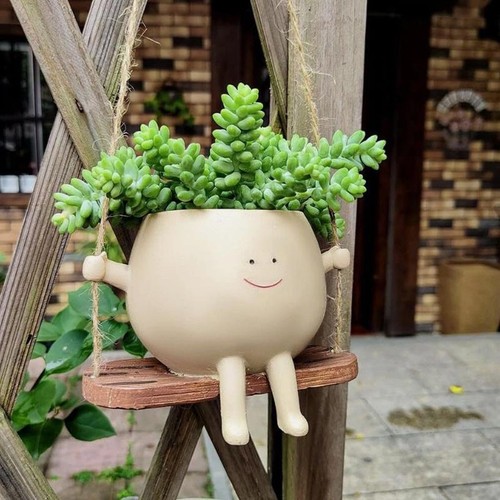 Swing face flower plant - face,