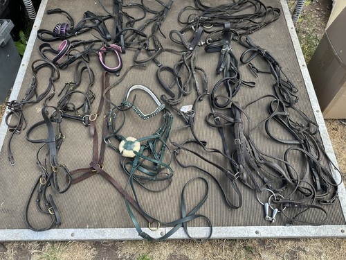Job lot assorted bridles - assorted,