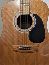 Vantage Acoustic Guitar With Soft Case