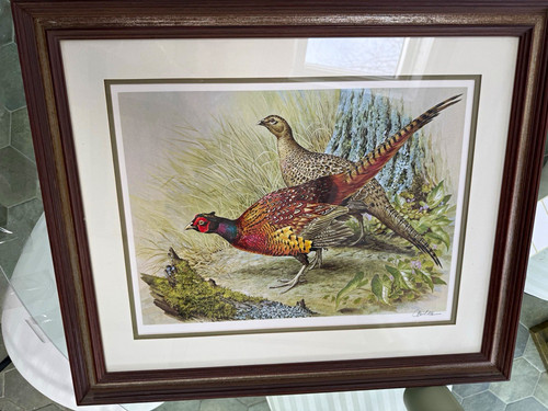 Basil ede pheasants - ede, in