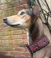 50mm (2 inch) wide martingale