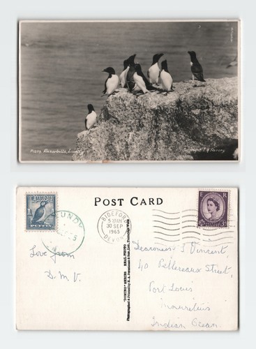 Vintage postcard lundy - vintage,