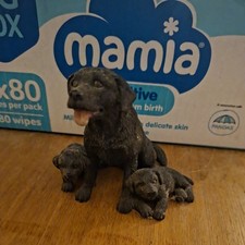 Black Labrador with 2 puppys