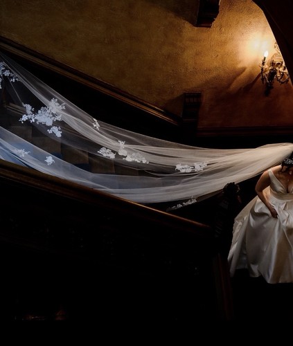 White tulle cathedral - tulle,