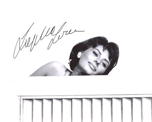 Actress sophia loren - actress, signed