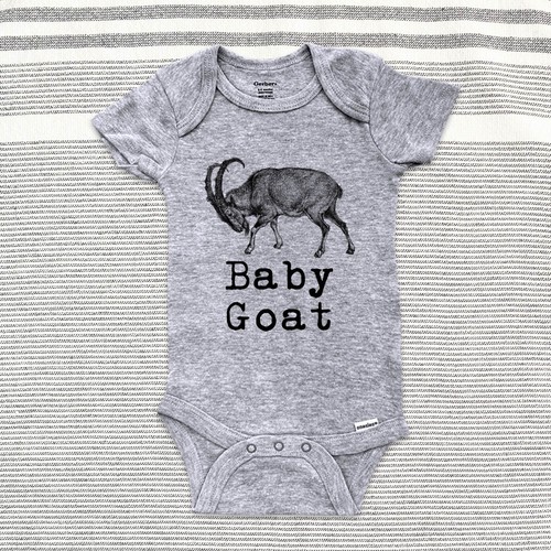 Baby goat zoo animal - baby,