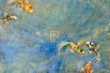Bridges butterfly koi giclee - bridges,