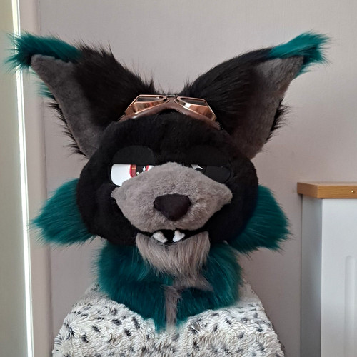 Grey blue lynx fursuit - &,