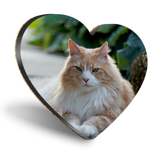 Heart mdf coasters norwegian - mdf,