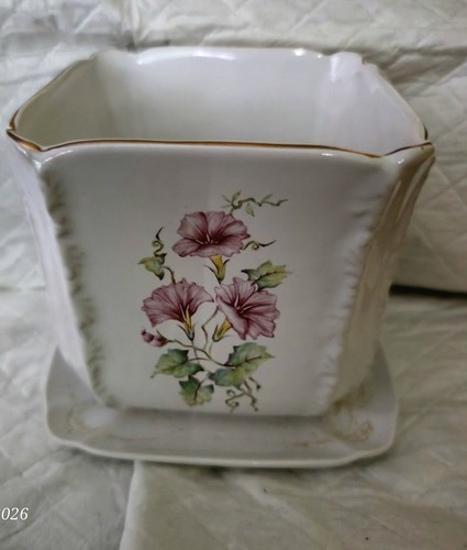 China floral pot plant with - plant,