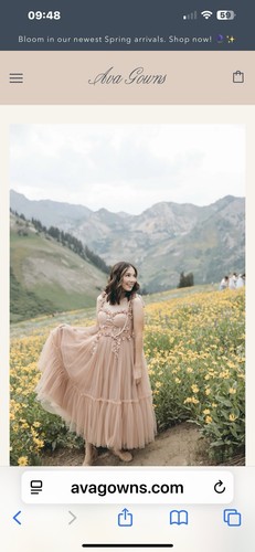 Ava gowns whimsical - gowns,