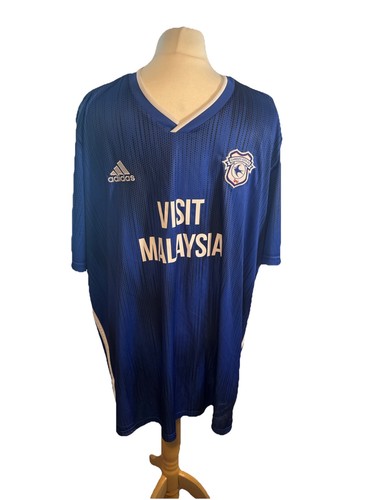 Cardiff city home football - city, fc