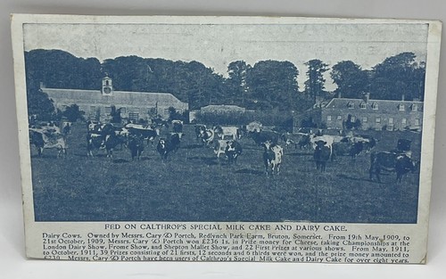 Old advertising postcard - old,