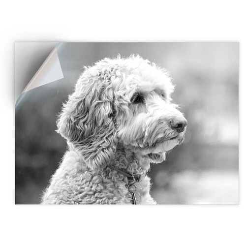 Vinyl sticker bw - 1,